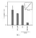 Fig. 04 - METHODS AND COMPOSITIONS OF TREATING HIV INFECTION