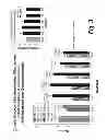 Fig. 04 - Preparation and therapeutic applications of (2S, 3R)-N-2-((3-pyridinyl)methyl)-1-azabicyclo[2.2.2]OCT-3-yl)-3,5-difluorobenzamide