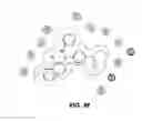 Fig. 09 - COMPOSITIONS OF TARGETED DRUG DEVELOPMENT