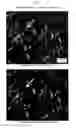 Fig. 02 - Bioavailable compositions of amorphous piperidinyl compounds
