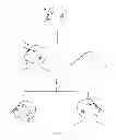 Fig. 06 - Method, composition and kit for treating frequent headaches