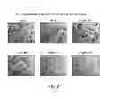 Fig. 03 - Small Molecule Inhibitors of P-type ATPases