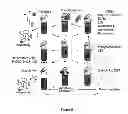Fig. 09 - MODULATION OF THE UBIQUITIN-PROTEASOME SYSTEM (UPS)