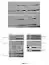 Fig. 22 - MODULATION OF THE UBIQUITIN-PROTEASOME SYSTEM (UPS)