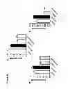 Fig. 07 - Oligonucleotide Inhibitors with Chimeric Backbone and 2-Amino-2'-Deoxyadenosine