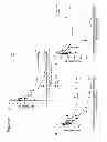 Fig. 10 - Oligonucleotide Inhibitors with Chimeric Backbone and 2-Amino-2'-Deoxyadenosine