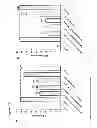 Fig. 16 - Oligonucleotide Inhibitors with Chimeric Backbone and 2-Amino-2'-Deoxyadenosine