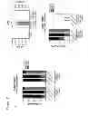 Fig. 18 - Oligonucleotide Inhibitors with Chimeric Backbone and 2-Amino-2'-Deoxyadenosine