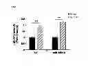 Fig. 08 - Methods of modulating MicroRNAs in the treatment of pulmonary arterial hypertension