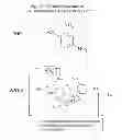 Fig. 02 - COMPOUNDS, COMPOSITION, METHODS, TARGETS FOR CANCER THERAPY