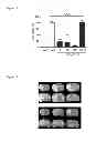 Fig. 02 - METHODS USEFUL IN THE PREVENTION OF HYPOXIC INJURY