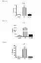 Fig. 04 - METHODS USEFUL IN THE PREVENTION OF HYPOXIC INJURY