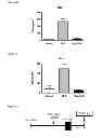 Fig. 05 - METHODS USEFUL IN THE PREVENTION OF HYPOXIC INJURY