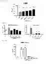 Fig. 06 - METHODS USEFUL IN THE PREVENTION OF HYPOXIC INJURY