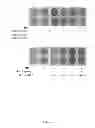 Fig. 02 - Methods for treating inflammatory conditions and states, and cancers by antagonizing NF-κB activation