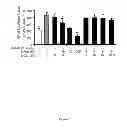 Fig. 08 - Methods for treating inflammatory conditions and states, and cancers by antagonizing NF-κB activation