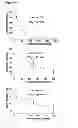 Fig. 06 - Beta-lactones as antibacterial agents