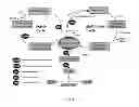 Fig. 02 - USES OF AND METHODS OF TREATMENT WITH CYSTATHIONINE