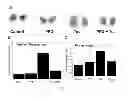 Fig. 07 - USES OF AND METHODS OF TREATMENT WITH CYSTATHIONINE