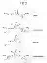 Fig. 06 - METHOD OF TREATING CANCER USING A CURCUMIN DERIVATIVE
