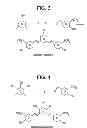 Fig. 07 - METHOD OF TREATING CANCER USING A CURCUMIN DERIVATIVE