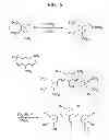 Fig. 08 - METHOD OF TREATING CANCER USING A CURCUMIN DERIVATIVE
