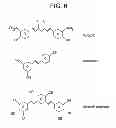 Fig. 09 - METHOD OF TREATING CANCER USING A CURCUMIN DERIVATIVE