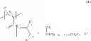 Fig. 04 - Comb polymers with delayed alkaline hydrolysis