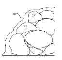 Fig. 01 - Flame retardant coating