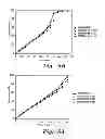 Fig. 06 - POLYMER-CLAY NANOCOMPOSITE MATERIAL