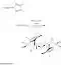 Fig. 06 - η:η-cyclopentadienylidene-phosphorane constrained geometry complexes of rare earth metals