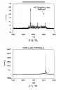 Fig. 08 - Multispecific peptides