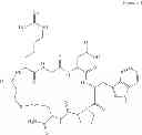 Fig. 02 - Process for preparing eptifibatide
