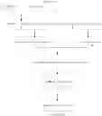 Fig. 09 - Process for preparing eptifibatide