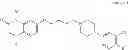 Fig. 08 - Haptens of aripiprazole