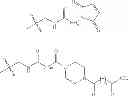 Fig. 34 - Haptens of aripiprazole