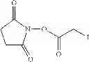 Fig. 45 - Haptens of aripiprazole