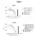 Fig. 02 - Collection and methods for its use