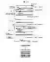 Fig. 07 - Annealing control primer and its uses