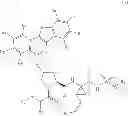 Fig. 06 - HCV protease inhibitors