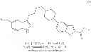 Fig. 28 - Process for preparing vilazodone hydrochloride