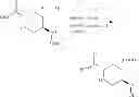 Fig. 43 - Processes for preparing heterocyclic compounds including trans-7-oxo-6-(sulphooxy)-1,6-diazabicyclo[3,2,1]octane-2-carboxamide and salts thereof