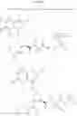 Fig. 22 - Hepatitis C virus inhibitors