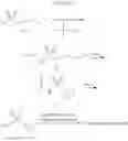 Fig. 27 - Hepatitis C virus inhibitors