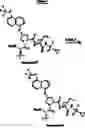 Fig. 562 - Hepatitis C virus inhibitors