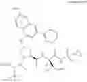 Fig. 581 - Hepatitis C virus inhibitors