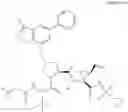 Fig. 72 - Hepatitis C virus inhibitors