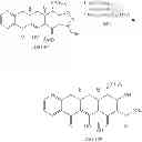 Fig. 124 - Synthesis of tetracyclines and analogues thereof
