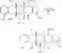 Fig. 99 - Synthesis of tetracyclines and analogues thereof