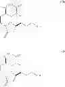 Fig. 09 - Intermediates for the preparation of analogs of halichondrin B